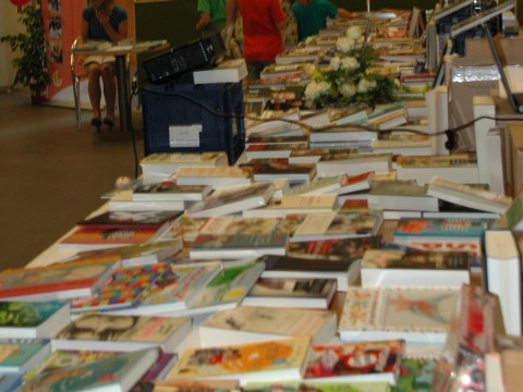 DF boekenstandHF vierkant.JPG