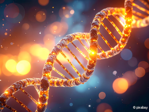 DNA.png
